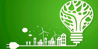 388_2019_4_25_3_55_323-1