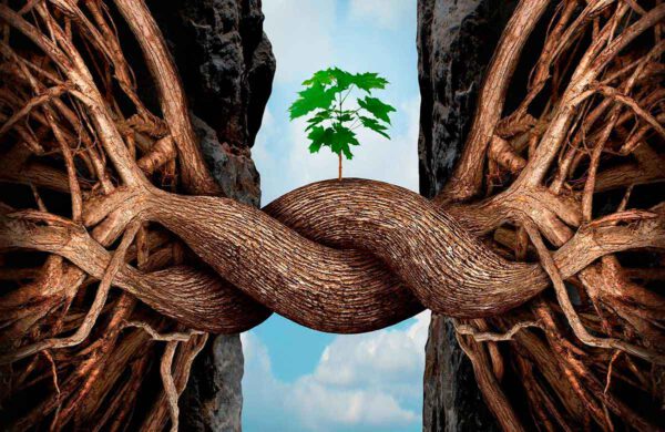 787_2021_2_10_37_49_563