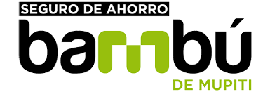 997_2022_3_14_31_47_1